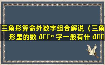 三角形算命外数字组合解说（三角形里的数 🌺 字一般有什 🌳 么规律）